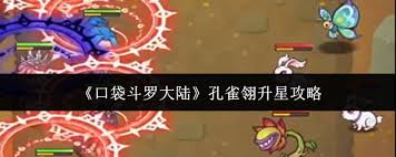 口袋斗罗大陆孔雀翎如何升星