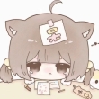 county防闪器正版