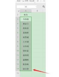 wps文字如何按笔画排序