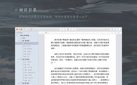 WonderPen如何设置中文