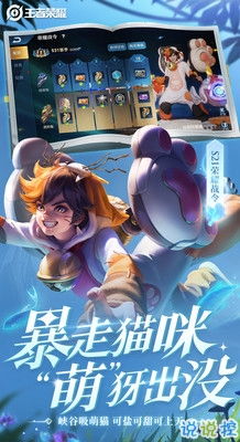 王者荣耀小黄鸭联动皮肤有哪些