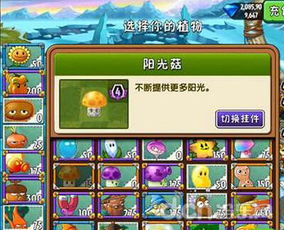 植物大战僵尸2冰河世界关卡怎么通关