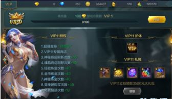 星神纪元如何隐藏VIP标识