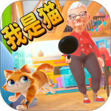 可爱猫咪模