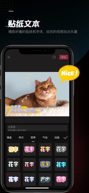 剪映ios定制版