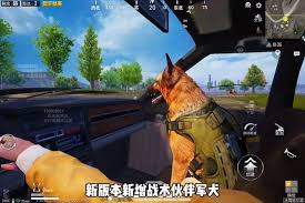 和平精英军犬怎么获取