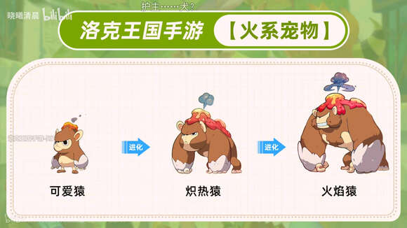 洛克王国世界骑宠精灵都有啥