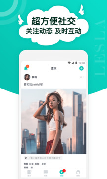 Lesla自定义版