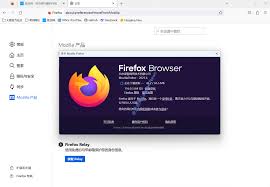 火狐浏览器如何隐藏常用网站