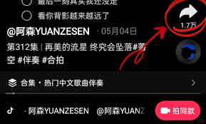 抖音如何设置合拍权限