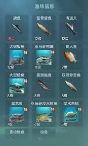 大航海时代传说钓鱼佬新手路线是什么