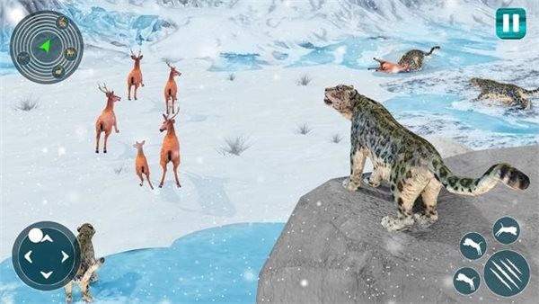 野生雪豹模拟器最新版