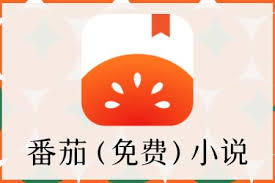 番茄免费小说在线阅读怎么操作