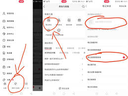 小红书搜索结果不显示怎么办