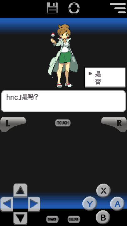 口袋妖怪黑白2正版