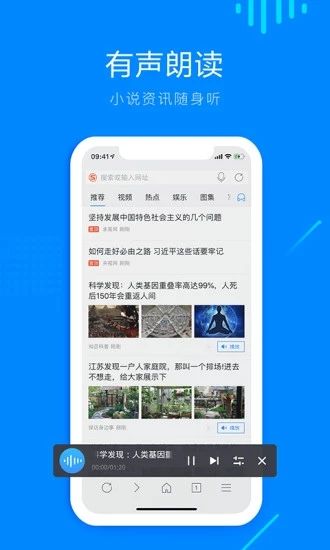 safari浏览器苹果纯净版