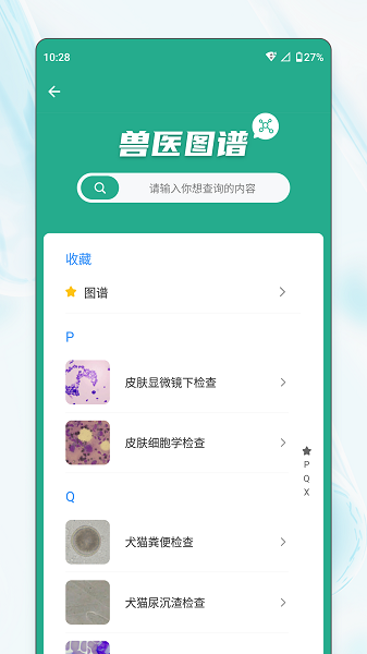 宠壹堂老版本