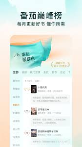 番茄小说在线阅读入口在哪