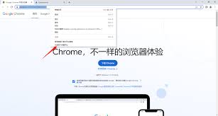 谷歌浏览器地址链接是什么