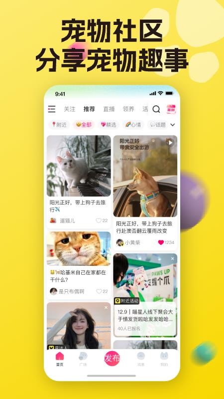 宠之谷免费正版