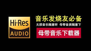 苏澜音乐如何下载音乐