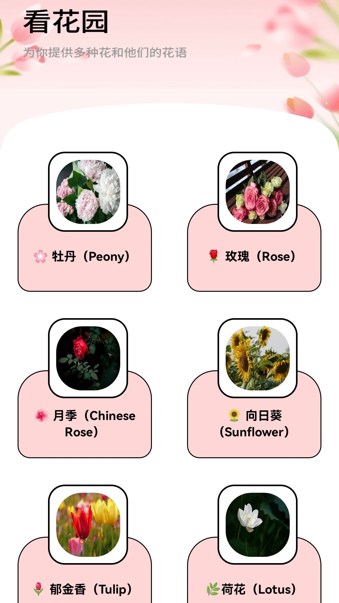 月光短剧定制版