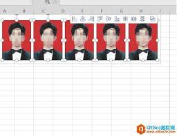Excel怎么打印证件照