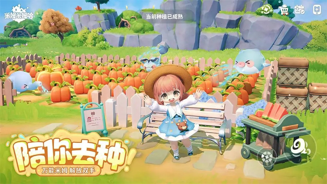米姆米姆哈国际版
