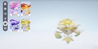 伊莫飘飘花的位置在哪里