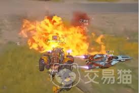 远光84仿生车有哪些