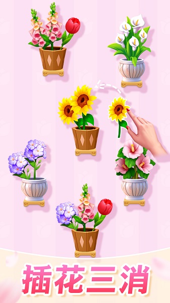 插花消除最新版