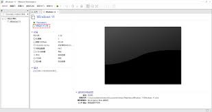 vm虚拟机怎样安装Win11系统