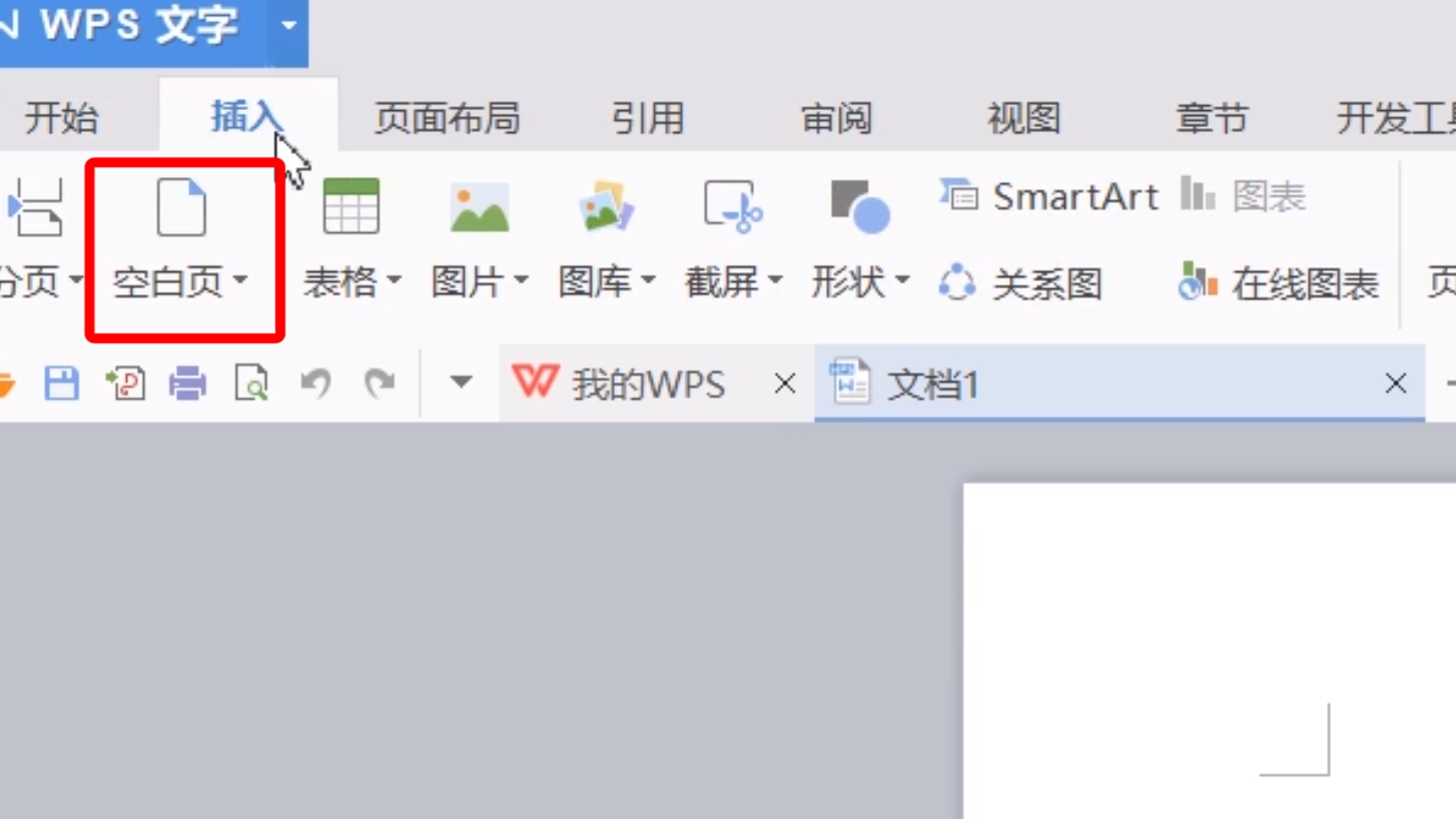 WPS怎么删除空白页却删不掉