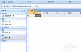 如何设置access数据库应用程序图标