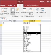 access中如何实现字段智能标志