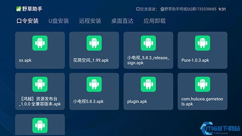 野草助手口令有哪些