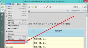 Adobe Acrobat如何设置自动保存更改时间间隔
