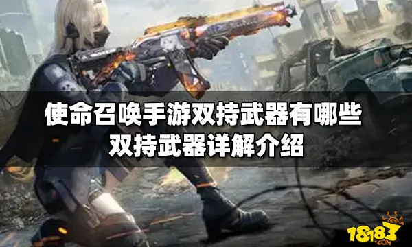 头号禁区双持武器都包括什么