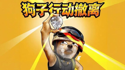 狗子行动撤离中文版