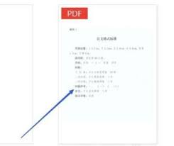 极光PDF阅读器如何给文档添加页码