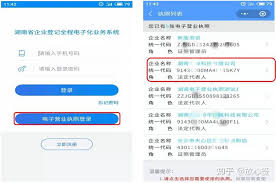湖南企业登记app如何签名