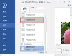 如何在Word设置每版打印多页