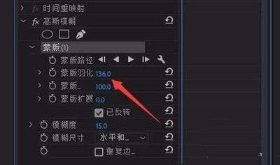 premiere如何让视频局部模糊