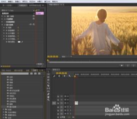 premiere怎么使用镜头扭曲效果