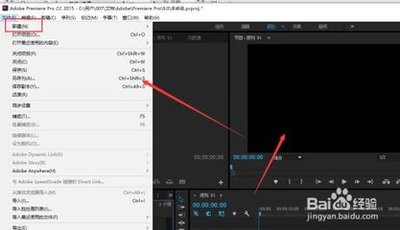 premiere pro cc怎么调整画布大小