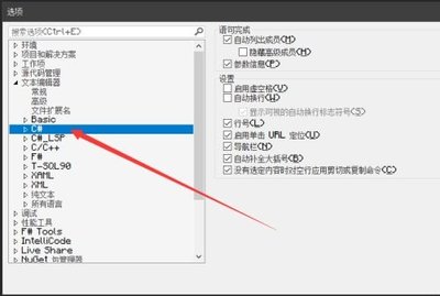 visual Studio Code如何切换大小