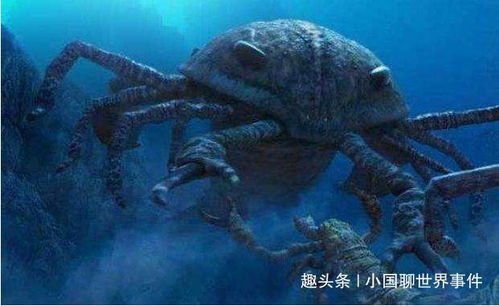 鲎的俗称是什么