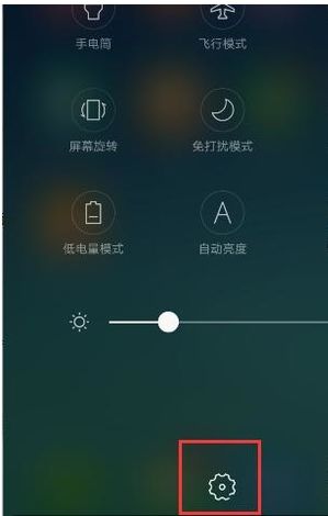 熊记在线观看 熊记树洞