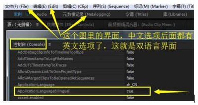 premiere如何打开元数据窗口