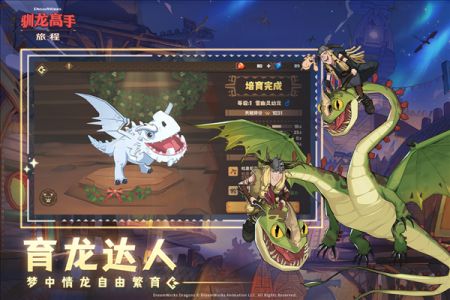 驯龙之旅菲诺兰斯转职如何选择